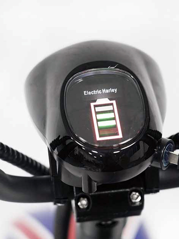 Adults Harley Electric Scooter H8