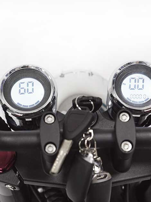 Adults Harley Electric Scooter M1P